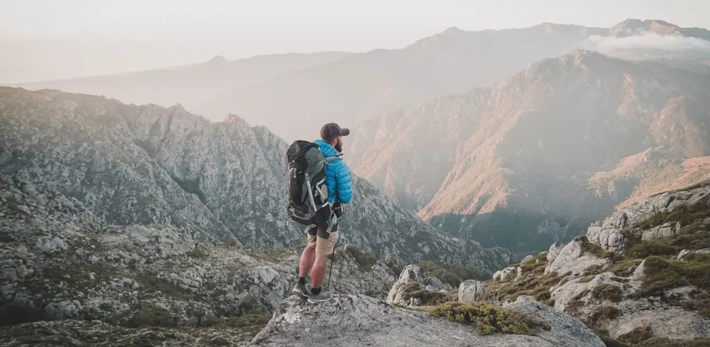 Traveler Behaviors in the Digital Era