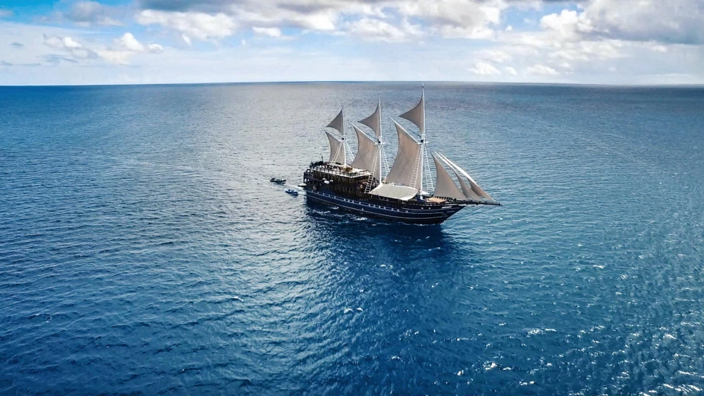 Amira Indonesia Website Design