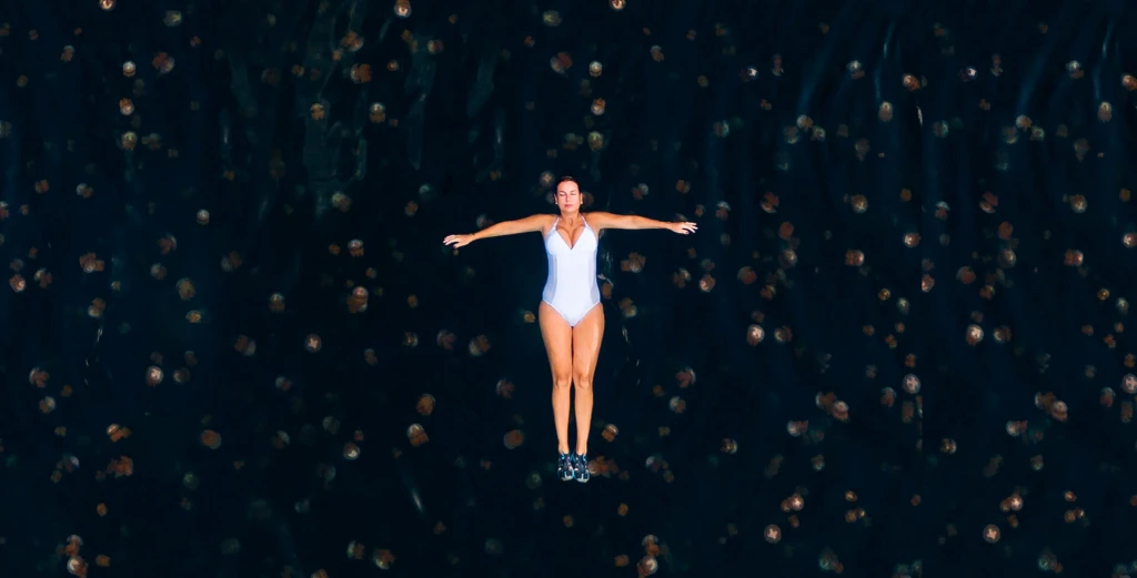 Flagship Luxury Expeditions - Our Work | Juicebox