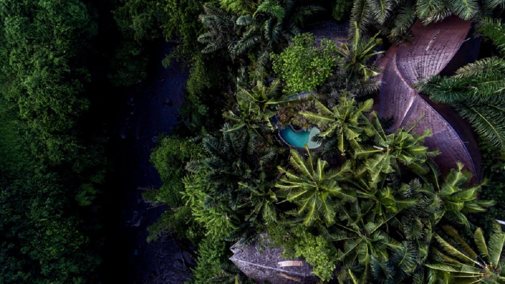 The Hardy Family Lab - Our Work | Juicebox