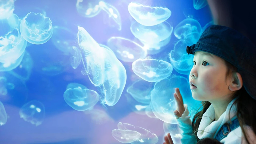 Jakarta Aquarium - Our Work | Juicebox