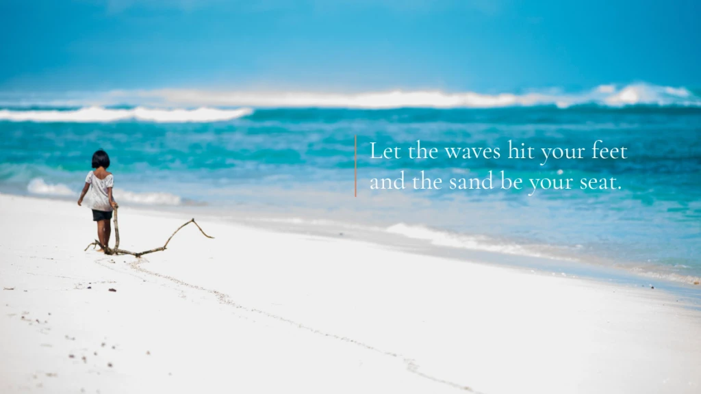 Sea Trek Sailing Adventure Brand & Website