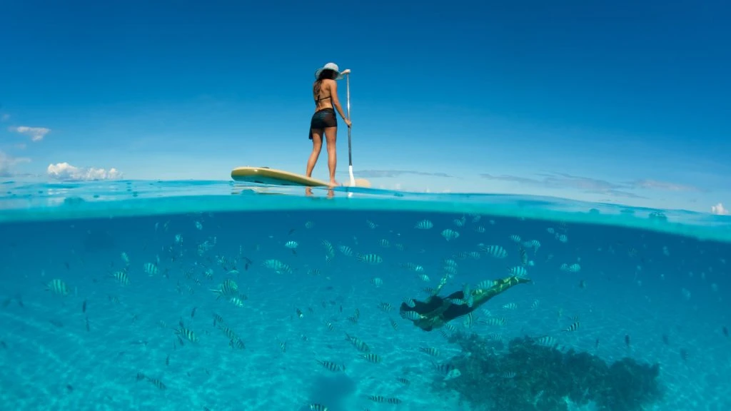 Seawolf Expedition Social Media Management